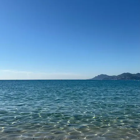 Lägenhet Elegant In Cannes